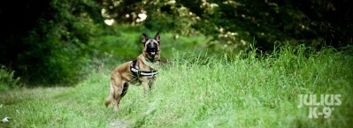 K9 GESCHIRRE